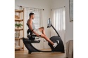 ROWER PROGRAMOWANY POZIOMY G10 /NORDICTRACK