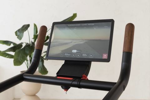 BIEŻNIA TRENINGOWA CITIUS VINTAGE OAK DĄB /NOHRD