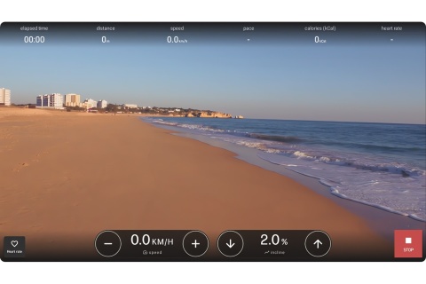 BIEŻNIA TRENINGOWA CITIUS VINTAGE OAK DĄB /NOHRD